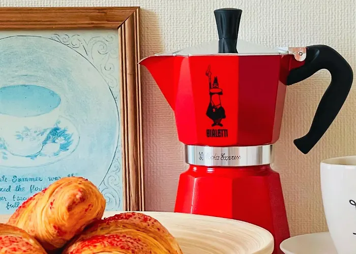 Mocha * Druskininkai