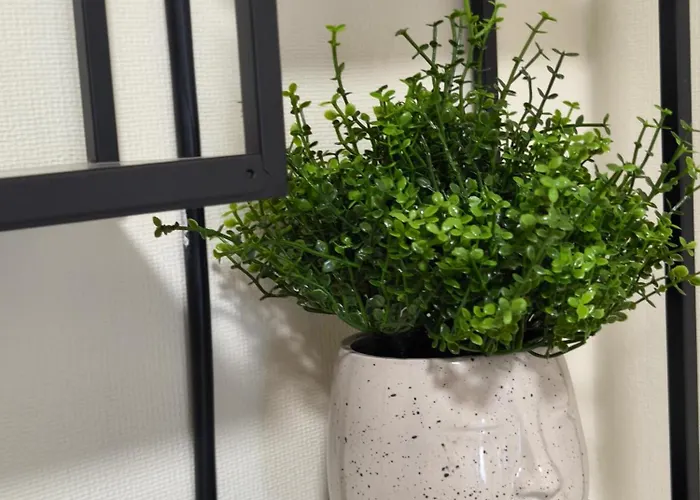 Mocha * Druskininkai