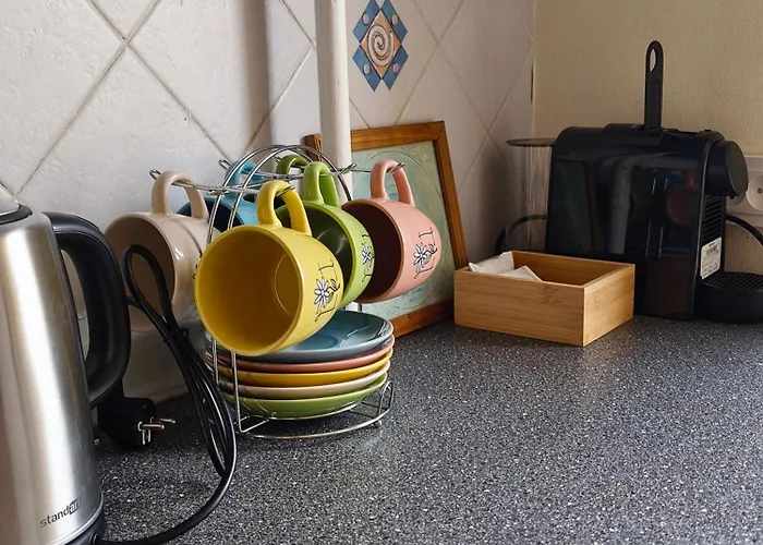 Mocha * Druskininkai